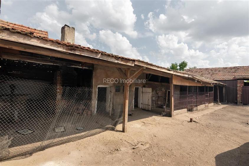 Teren mare cu 2 case si front la 2 strazi in Tamaseu - 24