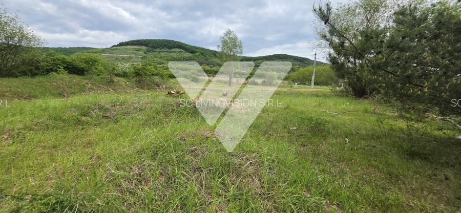 Teren intravilan industrial 2.779 mp de vânzare, DN1 Cristian, Sibiu - 4