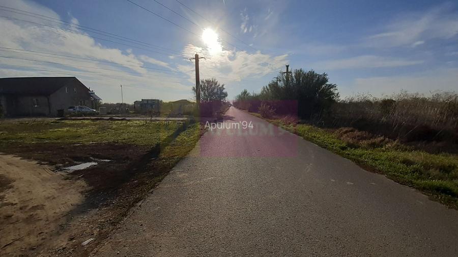 Teren la Asfalt cu utilități alături (Curent & Gaz) lângă București - 9