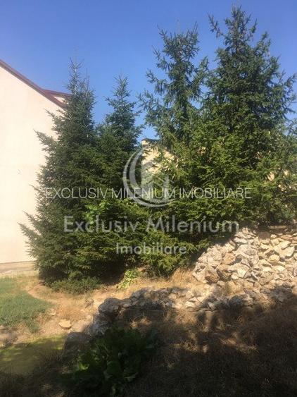 Casa la Padurea Rosu 650 Mp + Teren ideal Activitati Comerciale/Birouri - 13