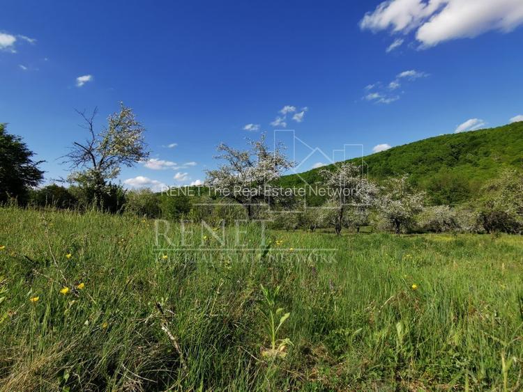 Teren de Vânzare, Budeasa Mica – Potrivit pentru Casă de Vacanță sau Investiție - 11