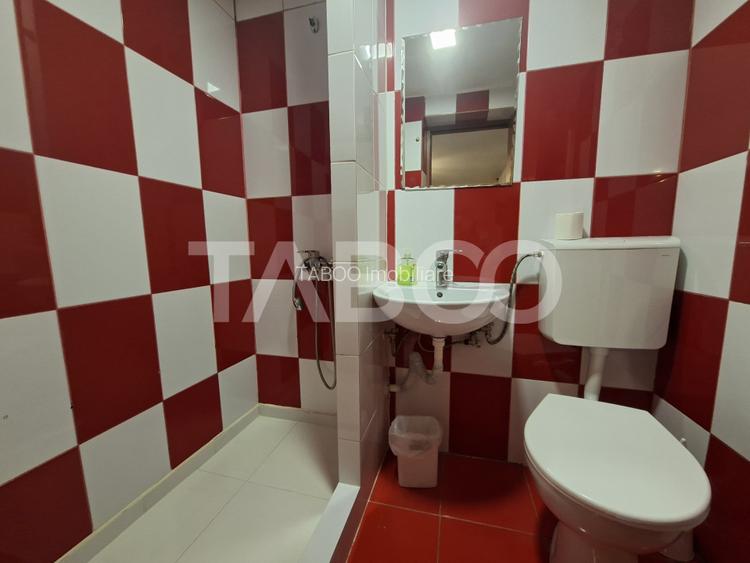 Spatiu de vanzare in Valea Macesului judel Valcea iesire la Lotru - 18