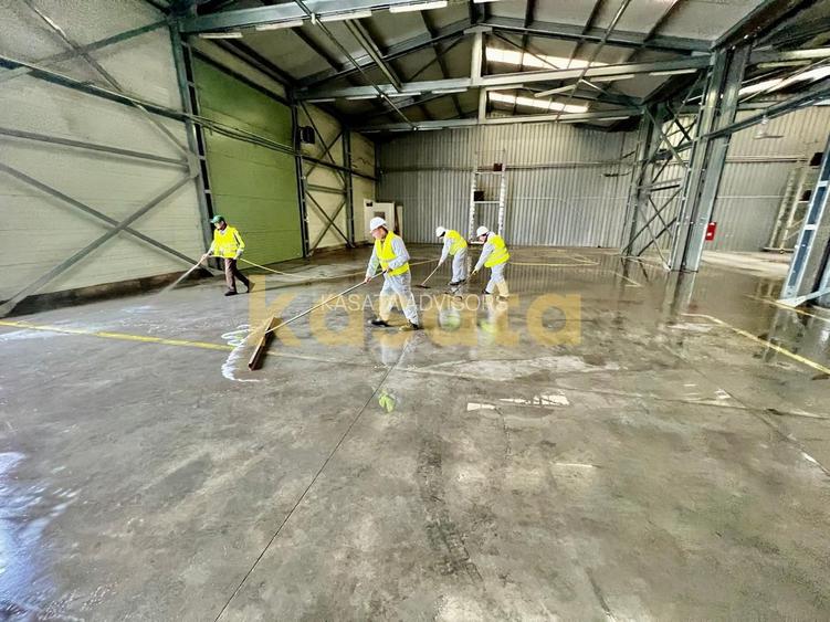 HALĂ INDUSTRIALĂ DE ÎNCHIRIAT – CENTURA DE NORD, BUCUREȘTI - 5