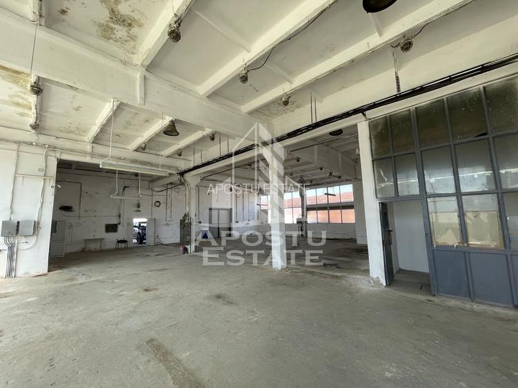 Hala depozitare sau productie, 310 mp, Zona Buziasului - 3