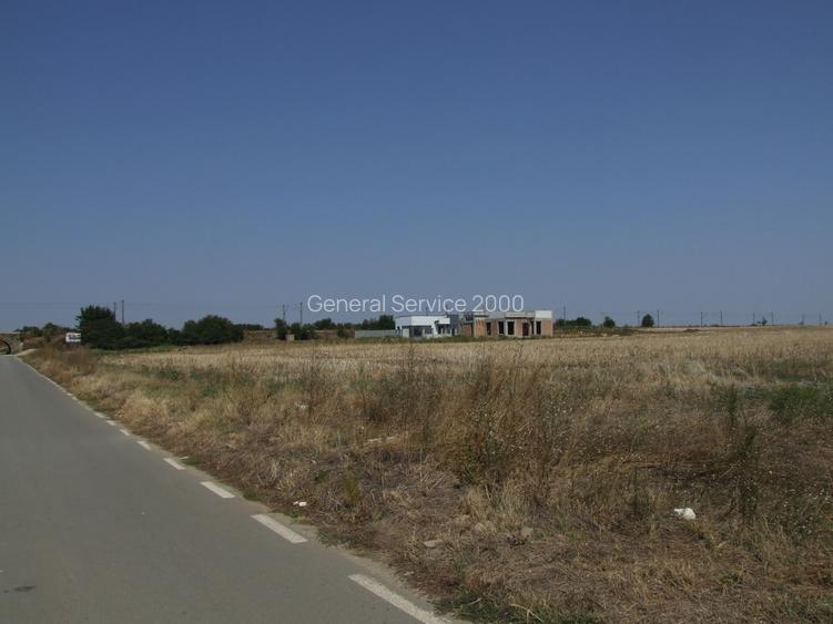 Domnesti-Salciei-stradal 6784 mp - 11