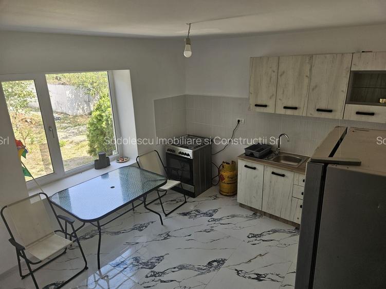 Casa Beregsaul mic+teren 1550 mp - 13