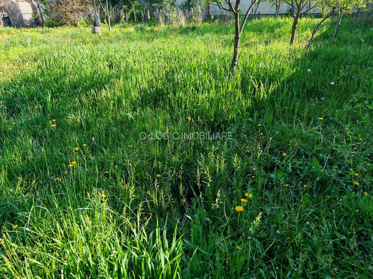 Teren rezidential intre case zona Mihai Eminescu - 7