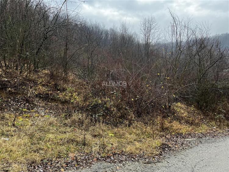 Teren intravilan 653 mp in Boldesti-Scaeni. - 4