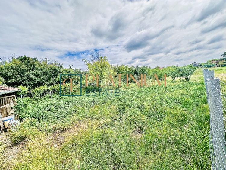 P4504 Casa cu 5 camere in Becicherecu Mic teren 961 mp ASFALT - 20