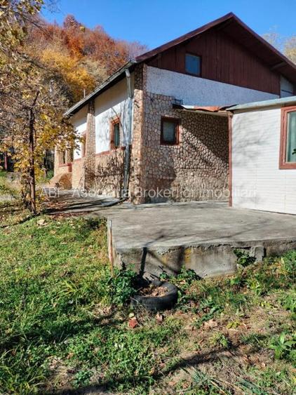 Iedera, Cricovul Dulce, casa de vanzare 90mp, teren 2450mp - 15