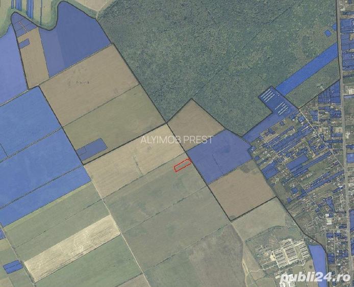 VANZARE TEREN COM BALOTESTI, SAT SAFTICA - 4