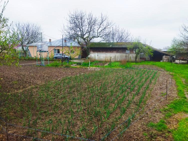 Casă Scrioaștea Cucueți lângă Roșiorii de Vede 200 mp teren 3000 mp  - 8