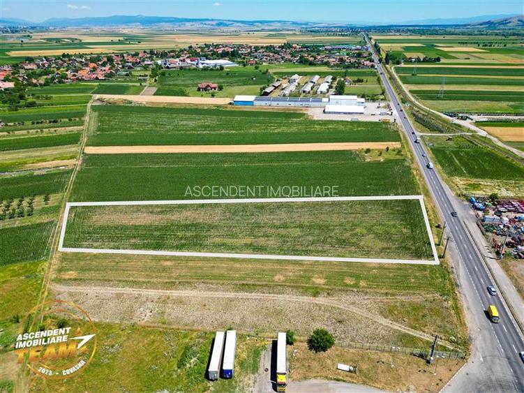 8.400mp, la DN12, cu Certificat Urbanism, teren intravilan, Chichis, Covasna. - 3