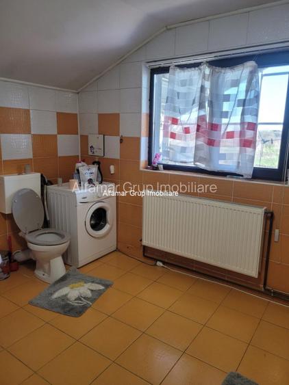 Vanzare proprietate cu 2 case Zurbaua- Dragomiresti Vale - 10