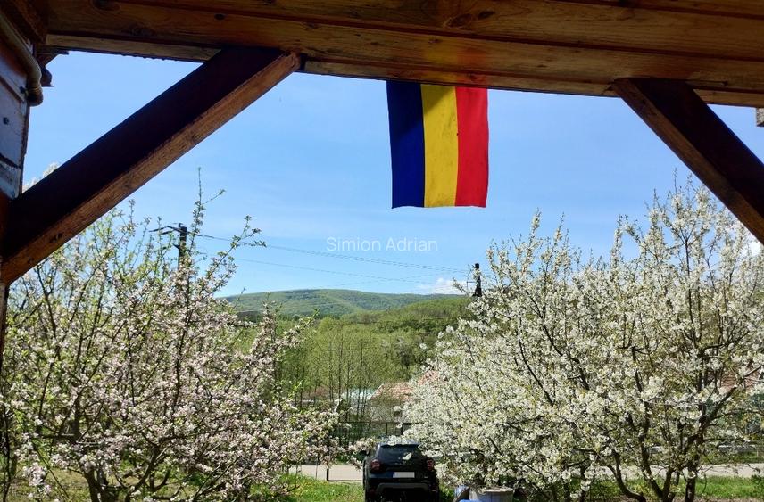 TEREN INTRAVILAN 1400 mp cu cabană și livadă, Gârbova de Sus (Aiud), zonă bună - 4