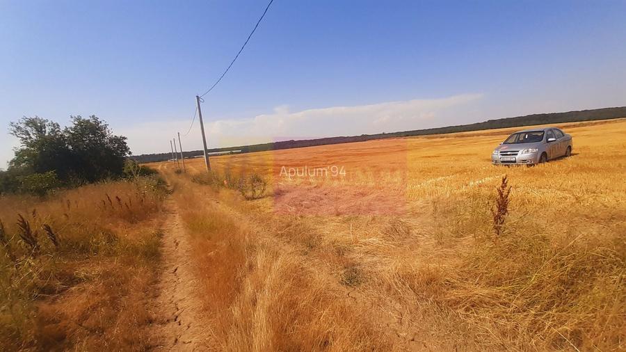 Teren pentru casă/case în Brănești pe strada Toporași - 17