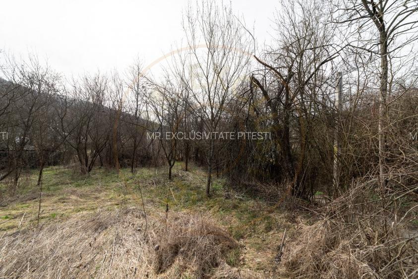 Teren de vanzare – 1221 mp in Budeasa Mica, zona linistita. - 6
