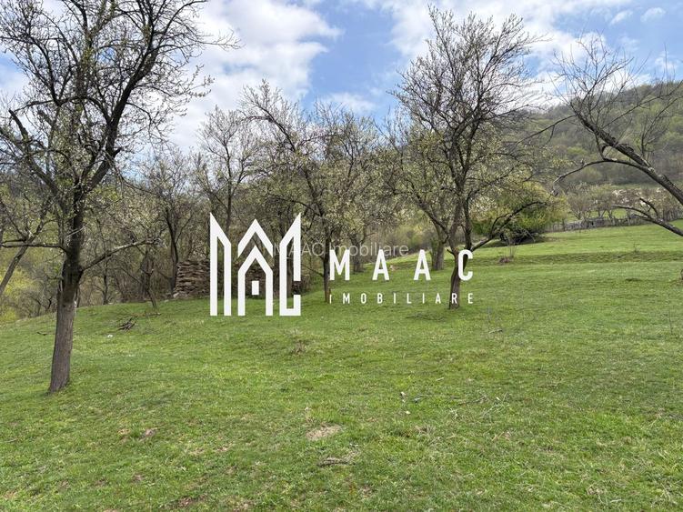 Teren de vânzare, 7750 mp I Orientare sudică I Caineni - 7