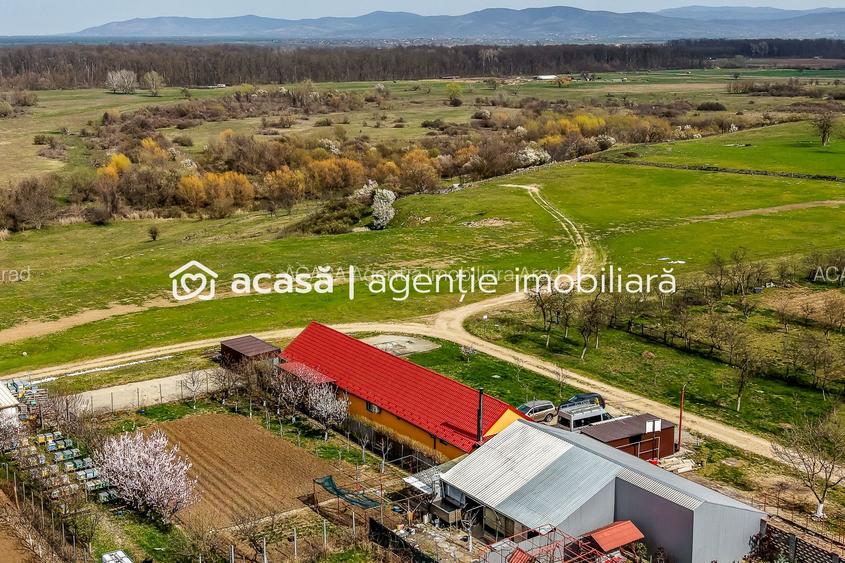 Casă modernă (2021) – Priveliște panoramică spre Lunca Mureșului - 2