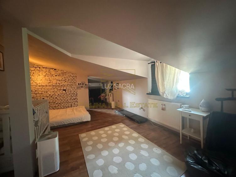 Vanzare - Proprietate cu Potential-Locuinta si Business - 22