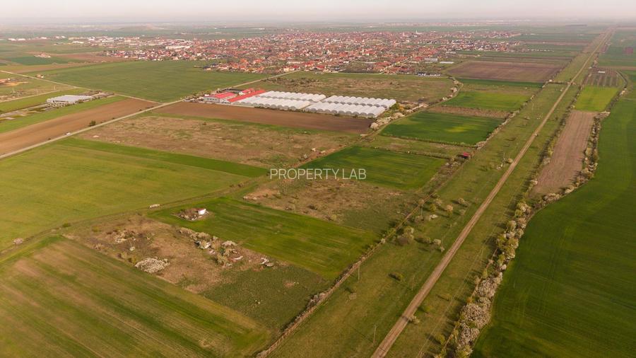 Teren intravilan 6150 mp – Sânleani, jud. Arad - 2