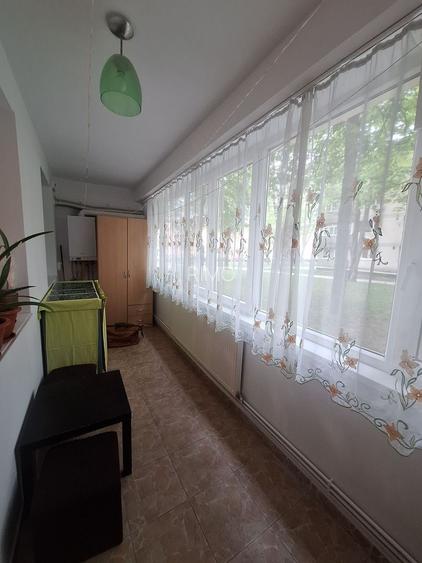 Apartament 2 camere Pajura - 7