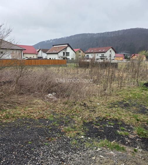 Teren intravilan intre case în Bunloc, lângă pădure – 604 mp - 5
