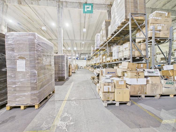 Teren 9.419 mp + hale 7.000 mp – Huși, Vaslui - 6