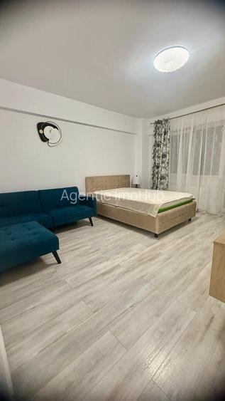 PIATA NICOLINA, APARTAMENT CU O CAMERA DECOMANDAT, MUTARE IMEDIATA - 9