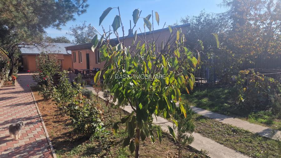 Casa de Vanzare in orasul Chitila - 2