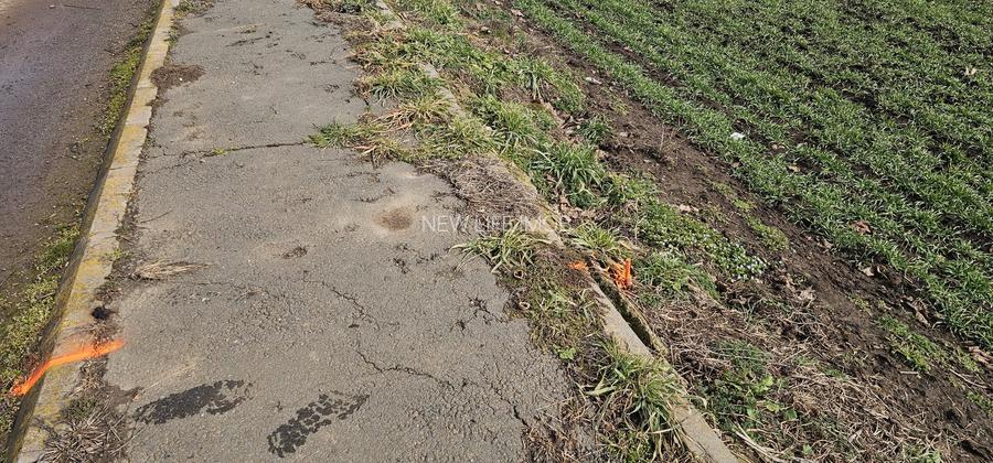 Costinesti / Frontal la mare/Forum /Golful Francez - 6