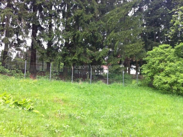 Teren intravilan Cotul Donului,pretabil Hotel/pensiune. - 11