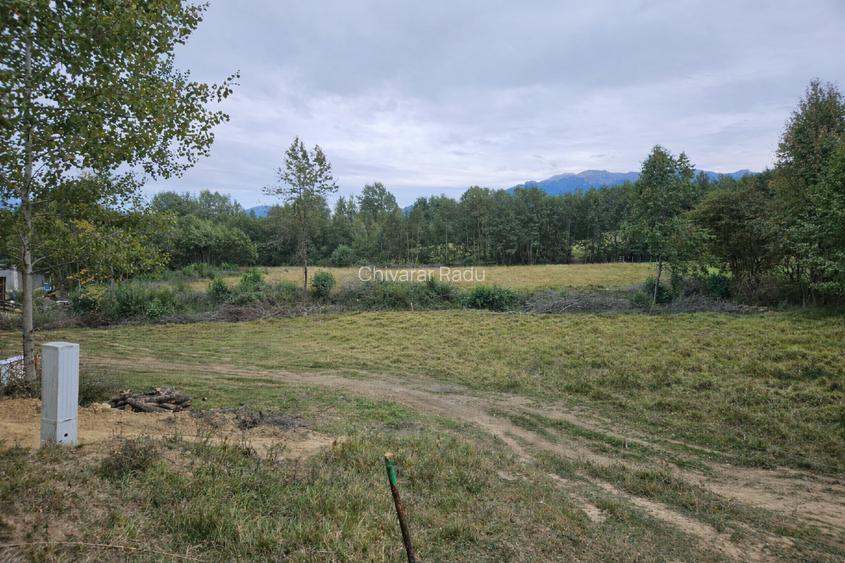 Teren Tohanita-Zarnesti 5000 mp - 3