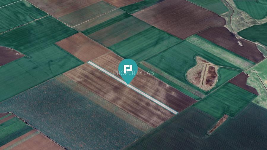 Teren 30.000 mp la drum asfaltat – Peciu Nou - 3