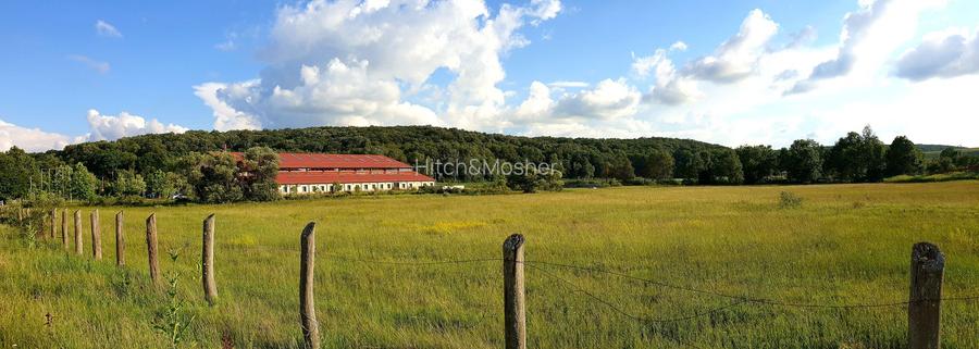 Destinație mixtă (restaurant, showroom, manej) – Herneacova - 2