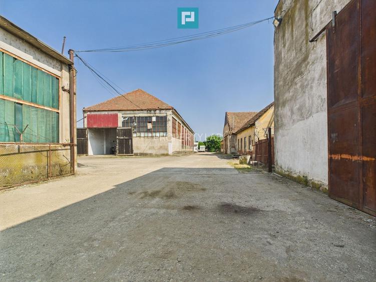 Complex industrial cu hale și teren  în Orțișoara - 12