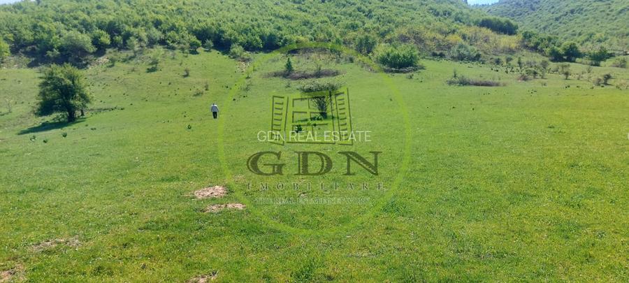 Teren extravilan 1704 mp in Gura Raului, utilitati - 3