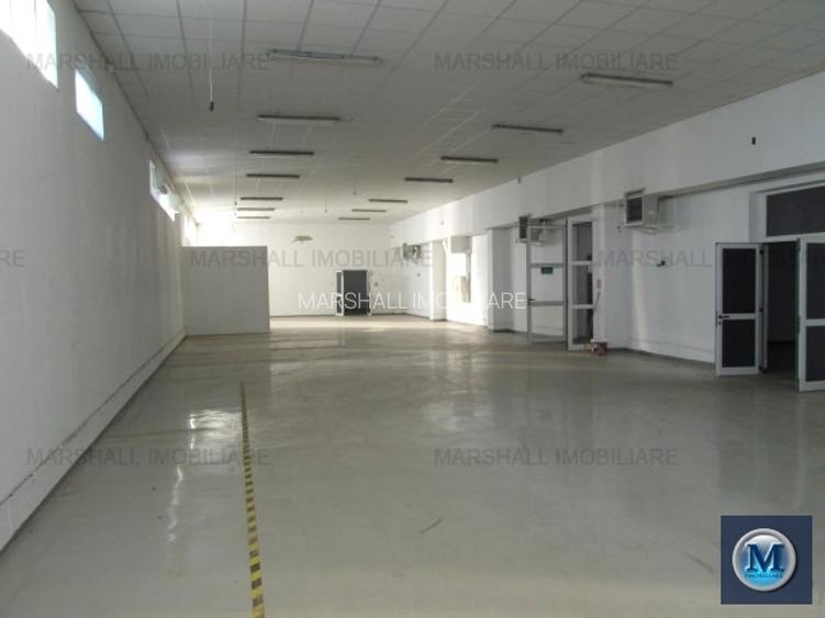 Spatiu industrial de inchiriat in Filipestii de Padure, 1000 mp #13513 - 3