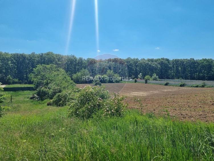 Teren 872,43 mp Snagov - 8