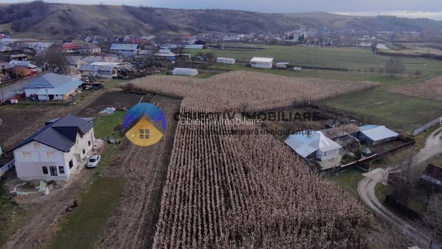Casă + teren 2335 mp de vânzare – comuna Bodesti - 3