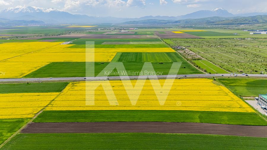 Teren 10.600 mp în Codlea – ideal pentru investiție industrială - 6