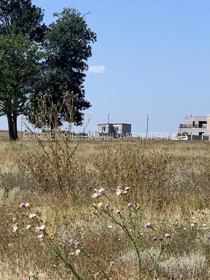 Teren intravilan Constanta Statiunea Techirghiol - 4