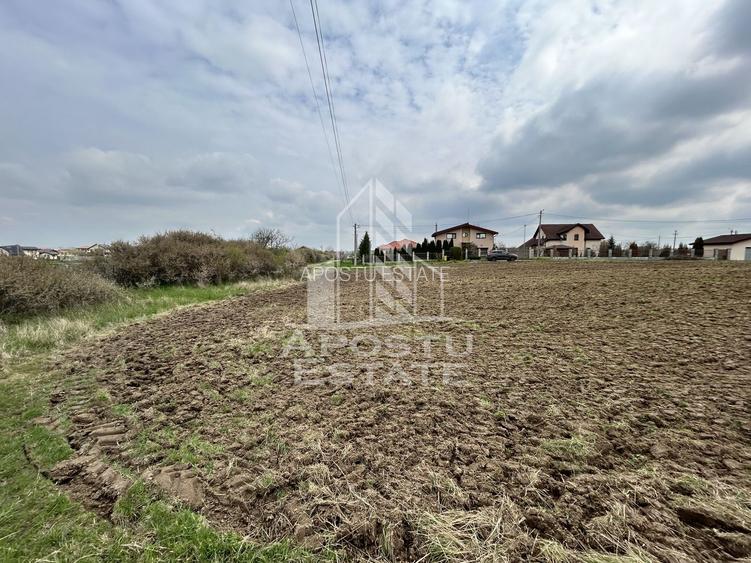 Parcele 550 mp, PUZ nou, langa case construite, asfalt, SAG-Manastire - 2
