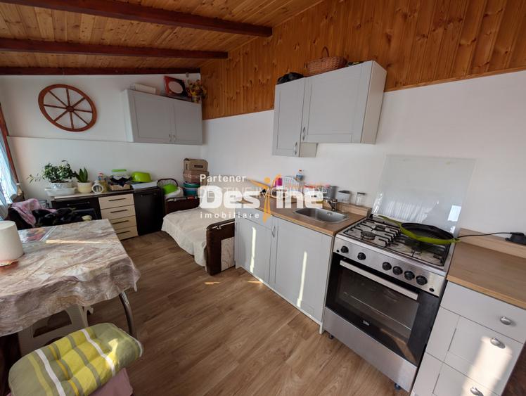 Casa individuala D+P 145 mp si 737 mp teren mobilata si utilata - Bucium Plopi - 12