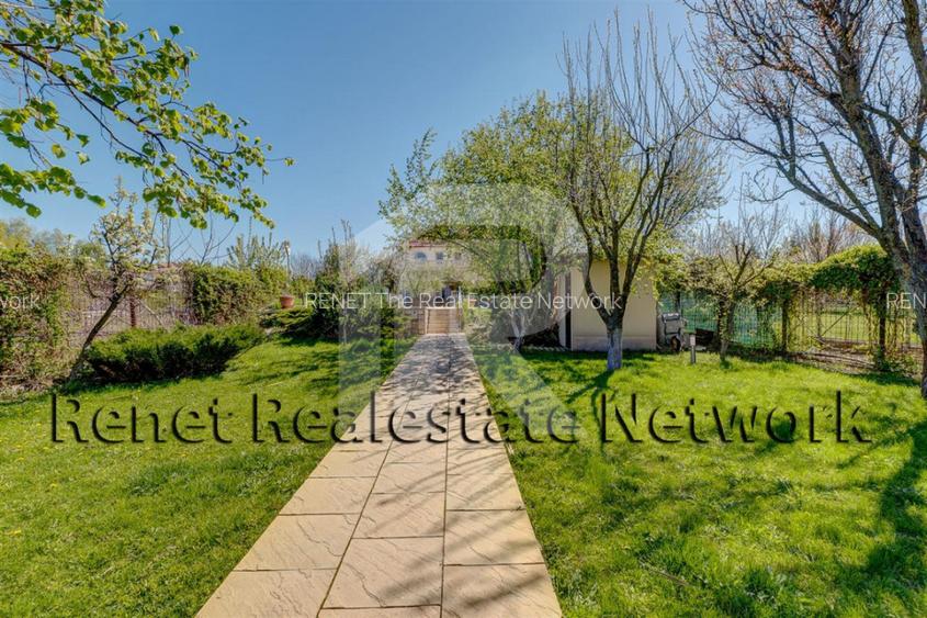 O Poveste de Vis pe Malul Lacului Snagov - 38