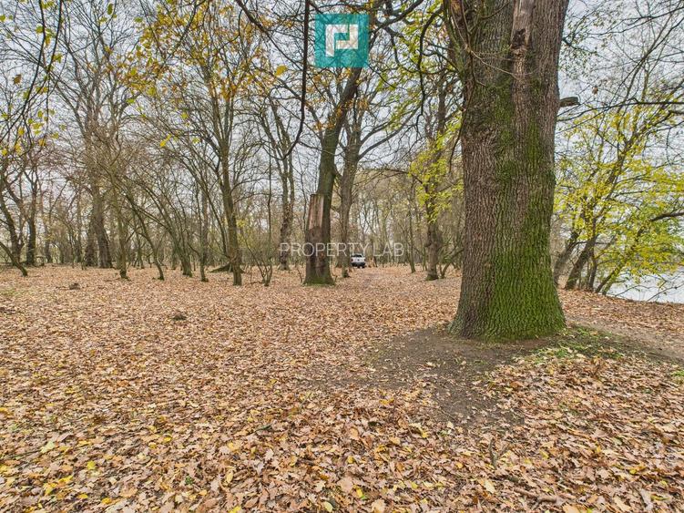 Teren spectaculos la  Periam Port - 6