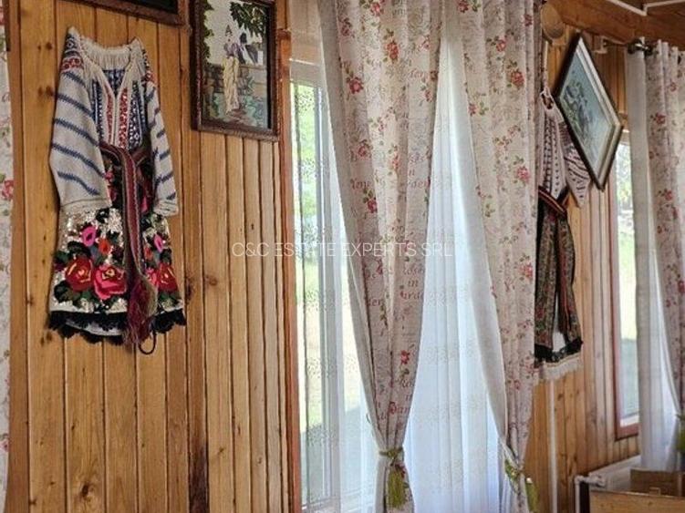 Pensiune in jud. Buzau, loc Ivanetu| Constructie lemn|Pozitionare impresionanta - 30