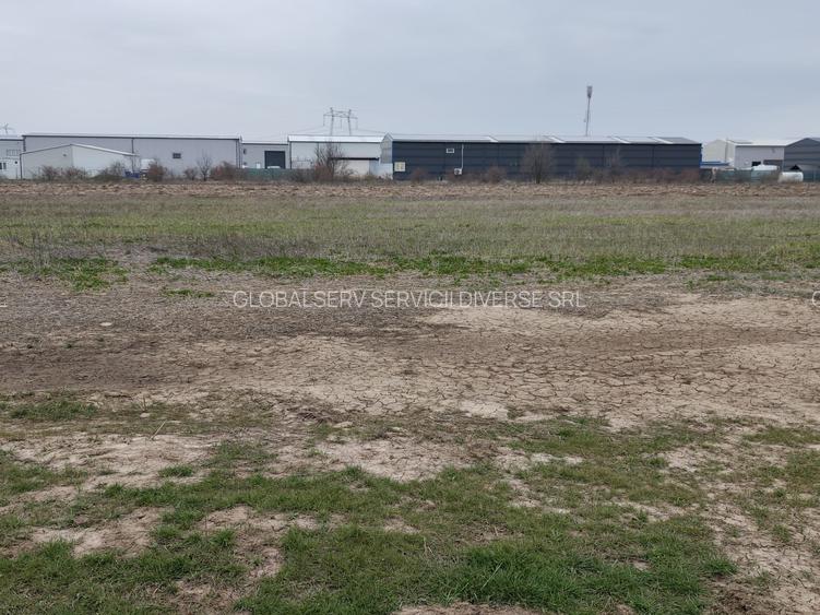 FARA COMISIOANE LOTURI TEREN CONSTRUCTII HALE in ZONA DE HALE merita vazut - 5