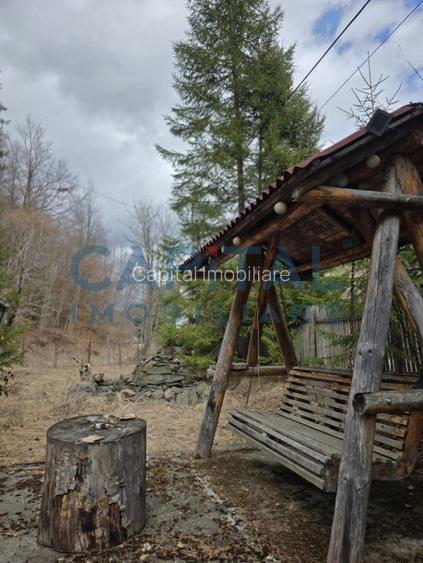 Cabana la munte Rucar / Satic - 8