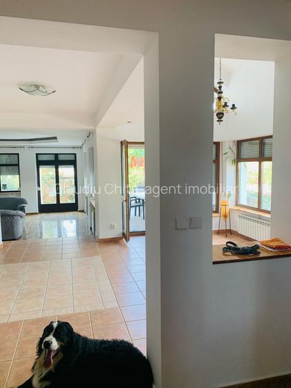 Vila de lux in Baneasa-Nord - 6